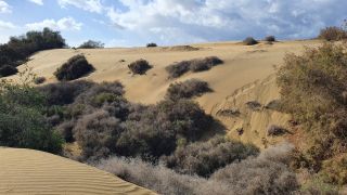 2023-GC--Mapalomas dunas-S123-068.jpg